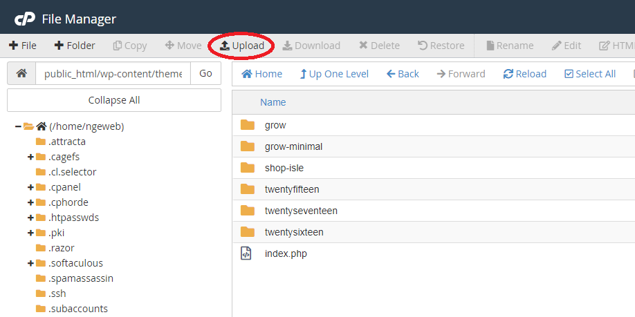 Install Dan Ubah Themes WordPress 9