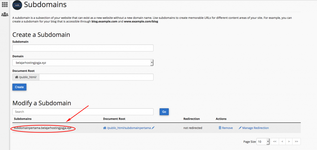 Cara Membuat Sub Domain di Cpanel 6