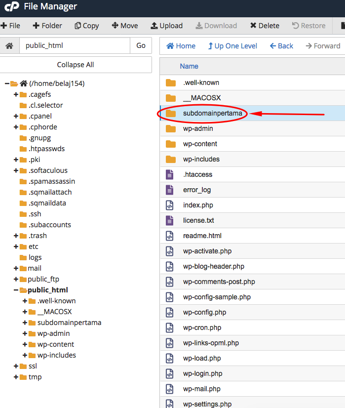 Cara Membuat Sub Domain di Cpanel 8